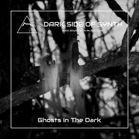 Ghosts In The Dark - Horrorsynth Album